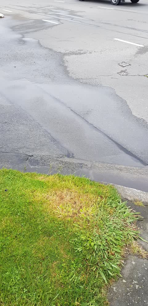 Water Leak, a report photo