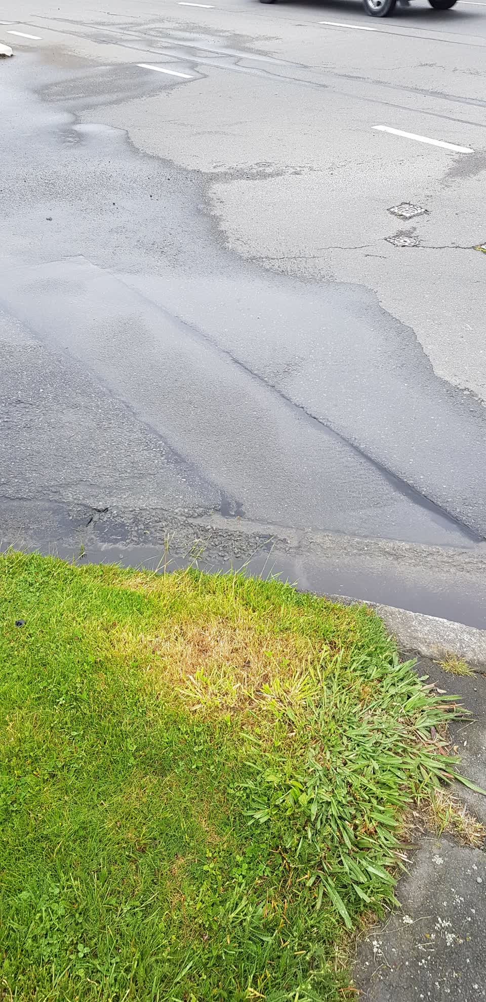 The photograph attached to this water leak report
