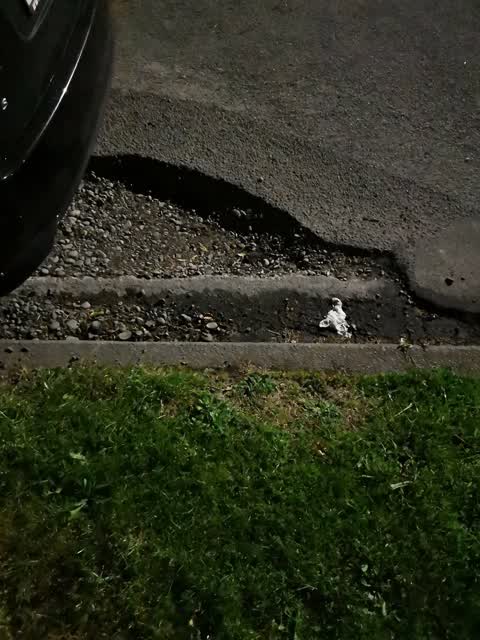 Roading/Streets, a report photo