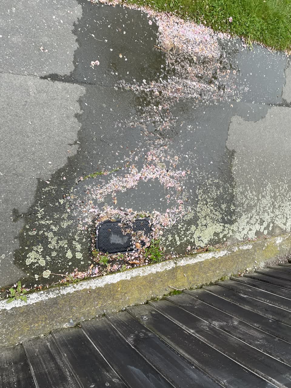 The photograph attached to this water leak report