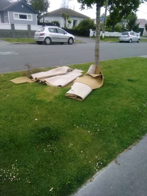 Rubbish/Recycling, a report photo