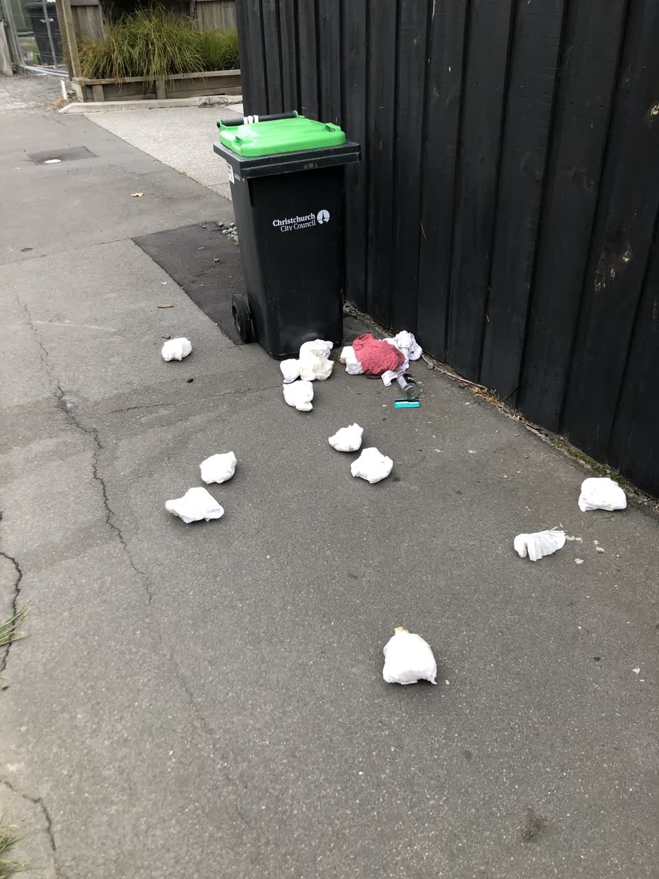 The photograph attached to this rubbish/recycling report