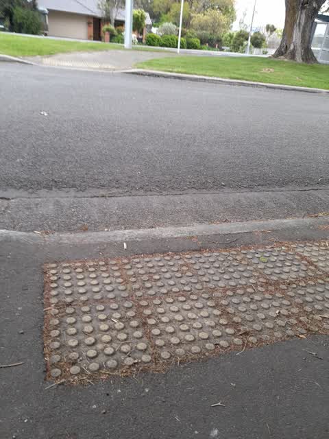 Roading/Streets, a report photo