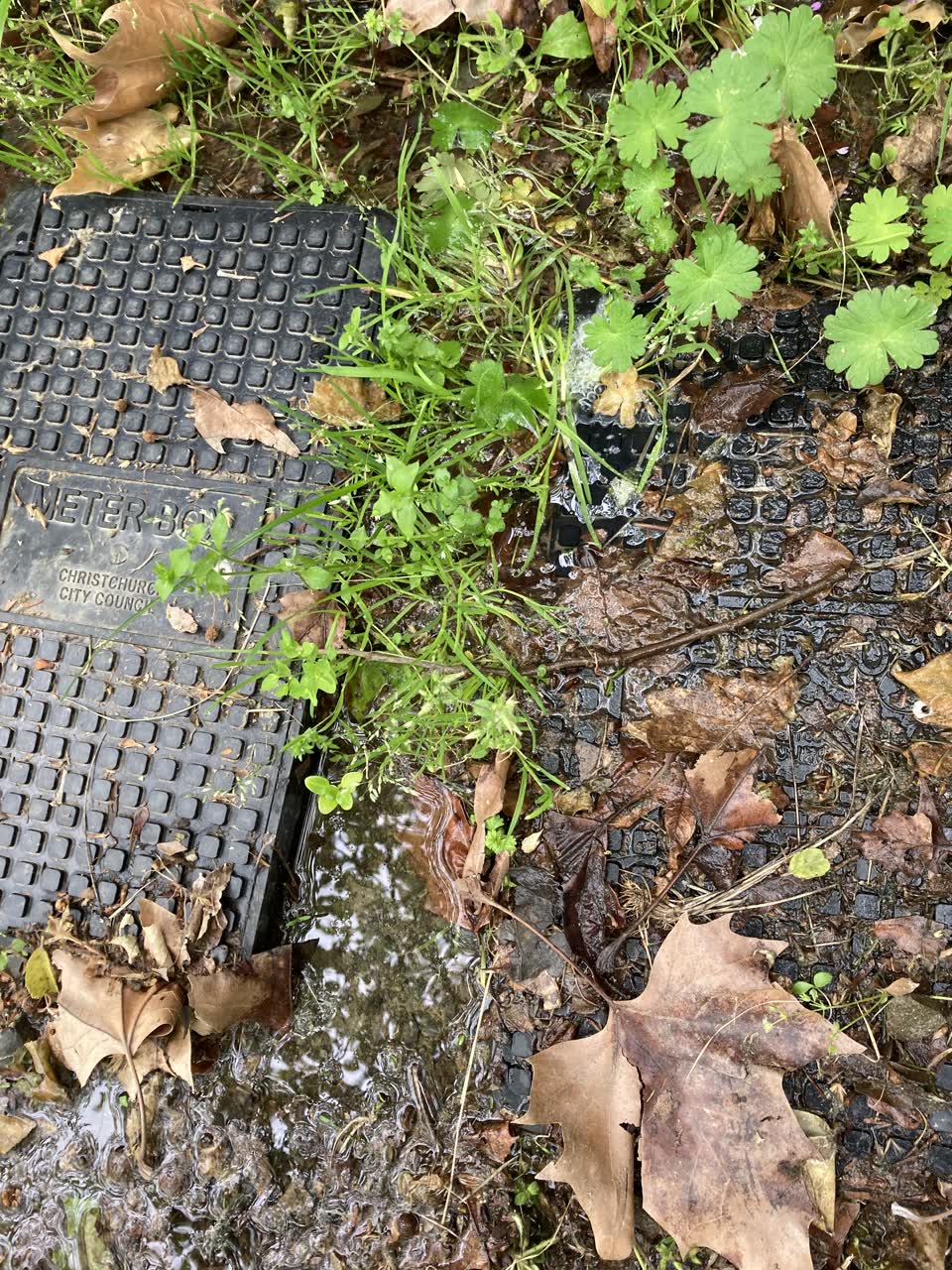 The photograph attached to this water leak report