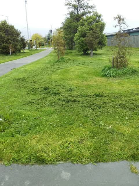 Parks, a report photo