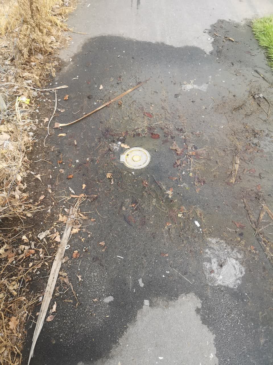 The photograph attached to this water leak report