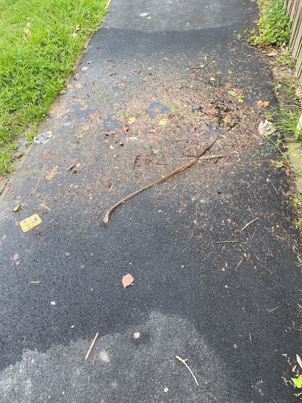 The photograph attached to this water leak report