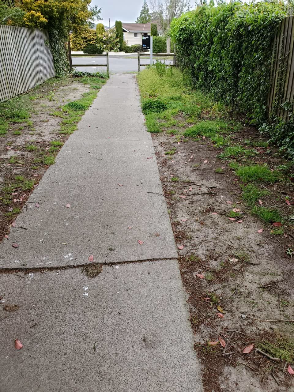 The photograph attached to this parks report