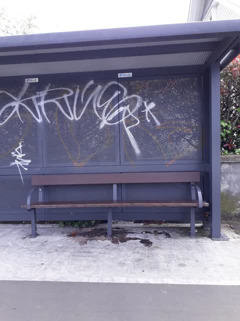 Graffiti — a report photo