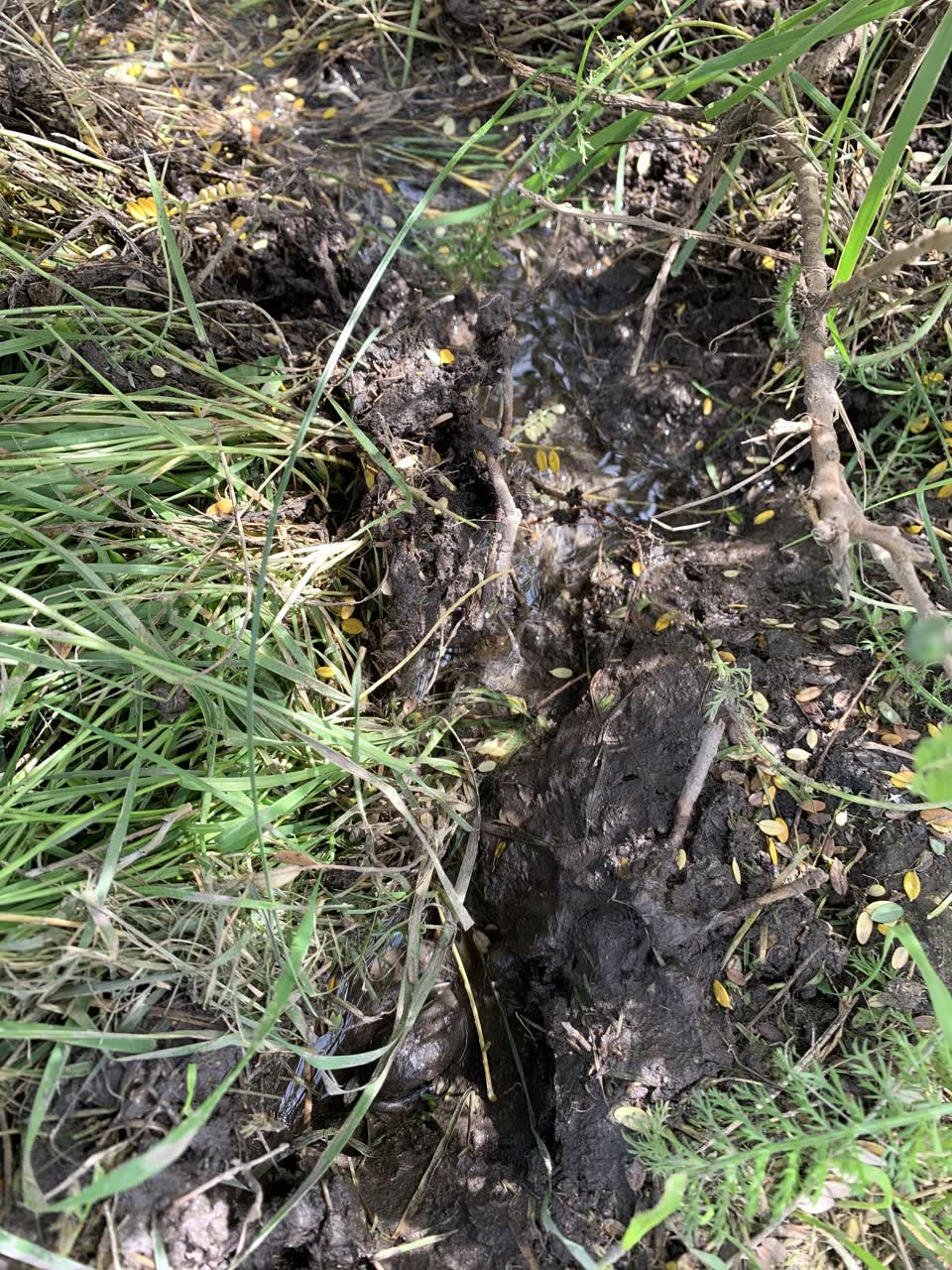 The photograph attached to this water leak report