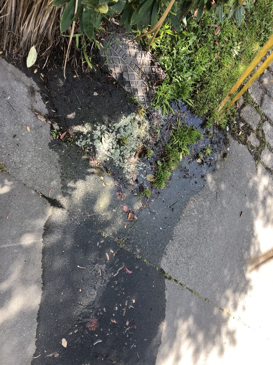 The photograph attached to this water leak report