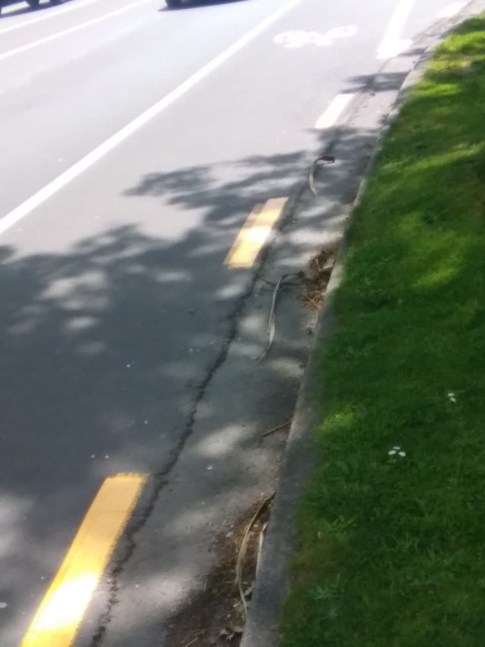 The photograph attached to this roading/streets report