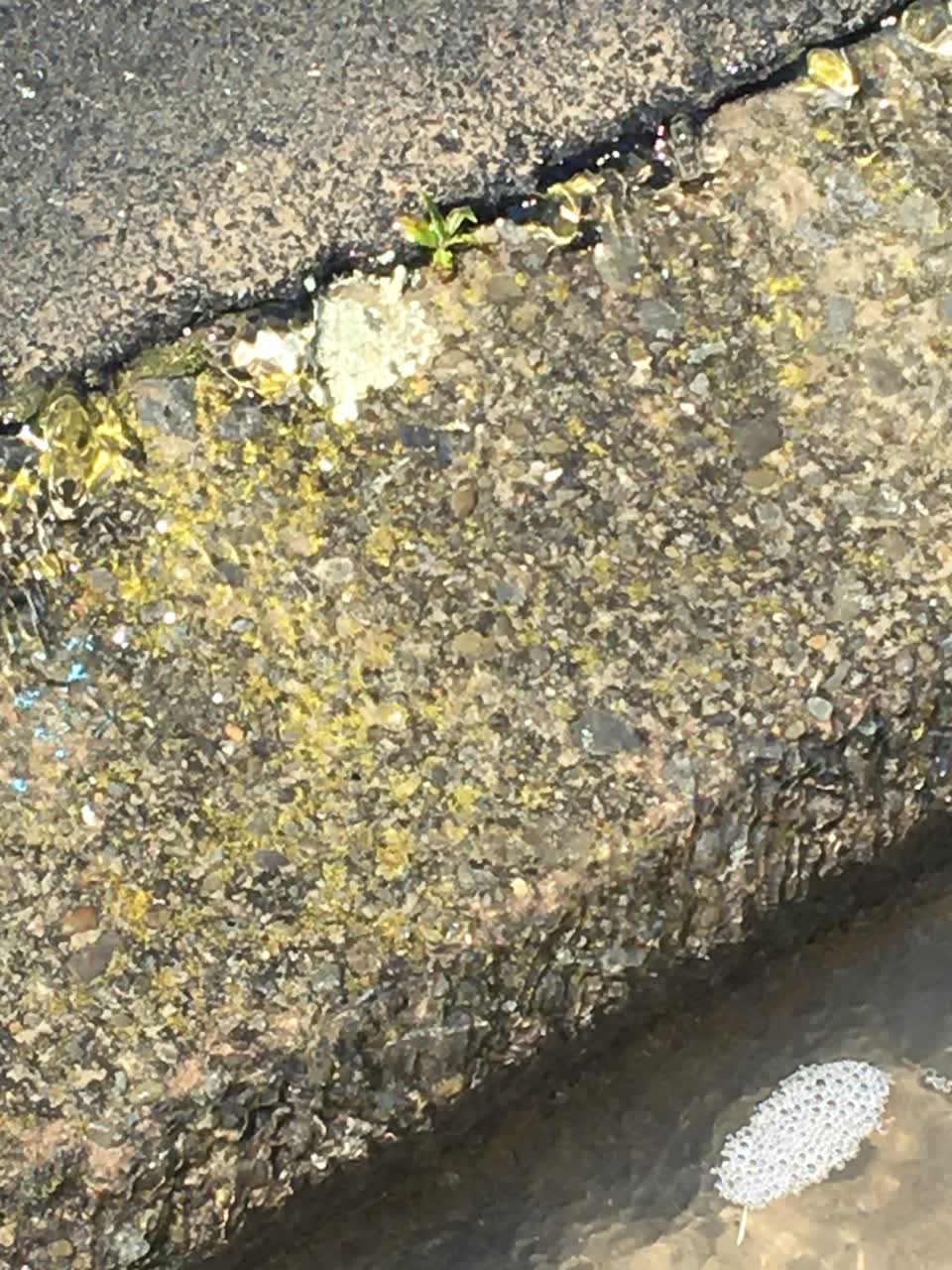 The photograph attached to this water leak report