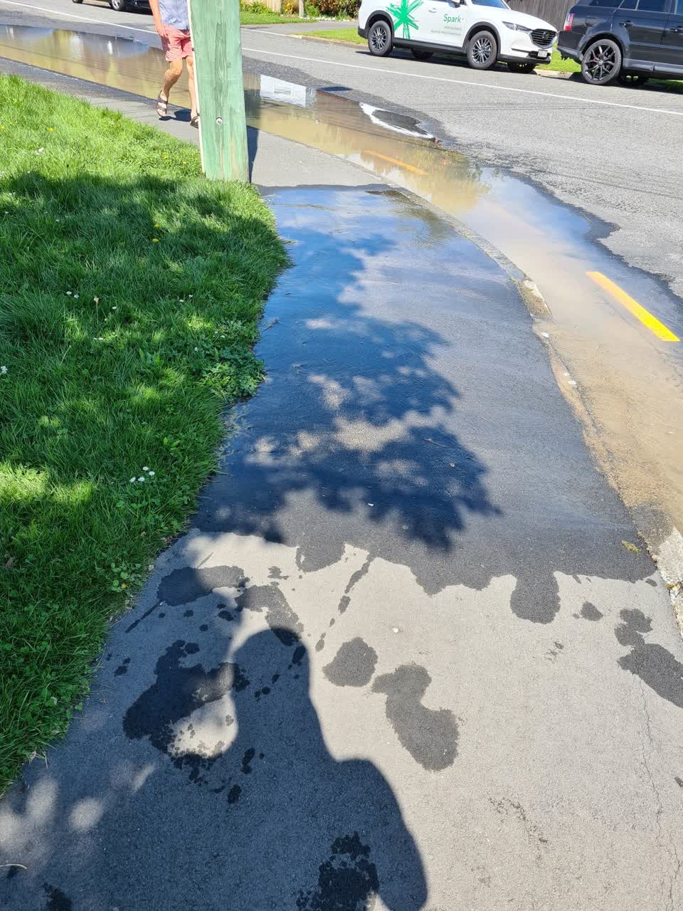 The photograph attached to this water leak report