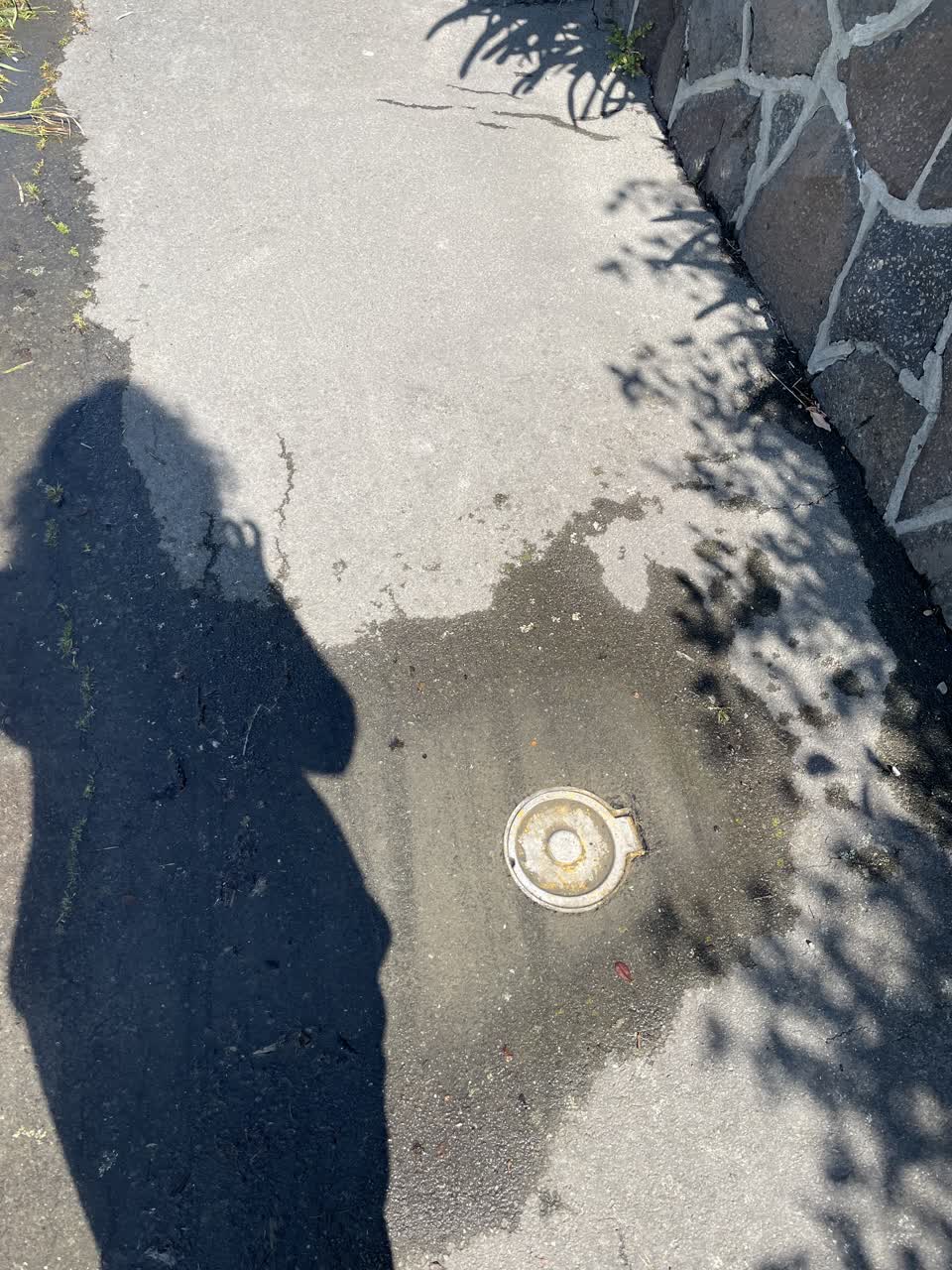 The photograph attached to this water leak report