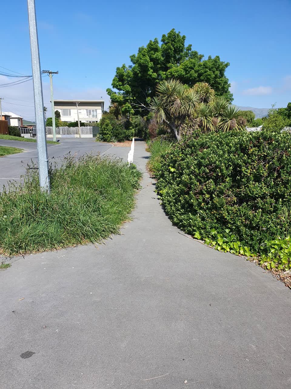 The photograph attached to this parks report