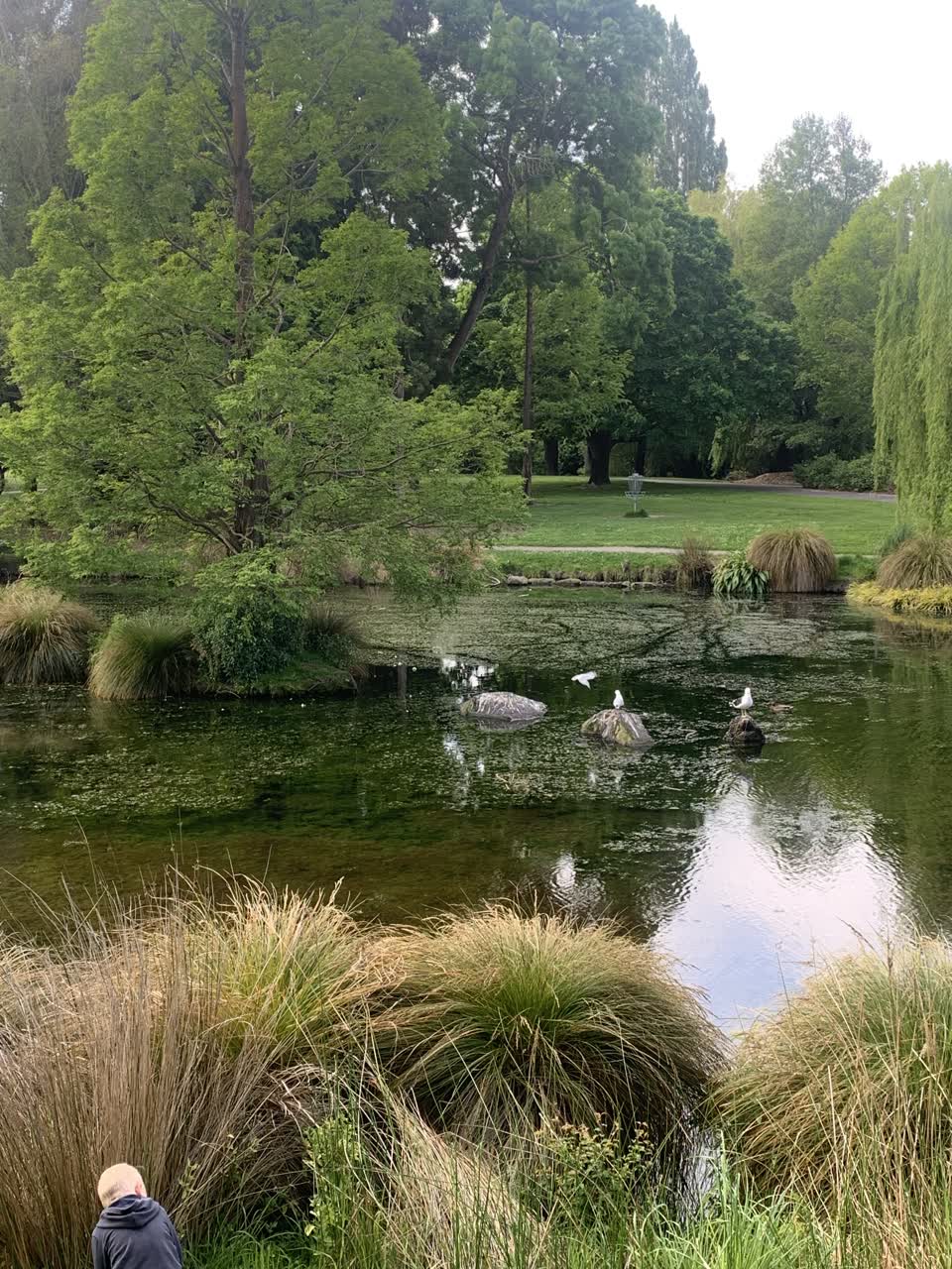 The photograph attached to this parks report