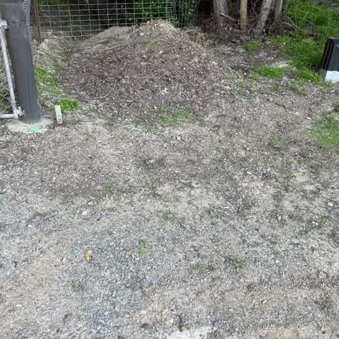 Rubbish/Recycling, a report photo