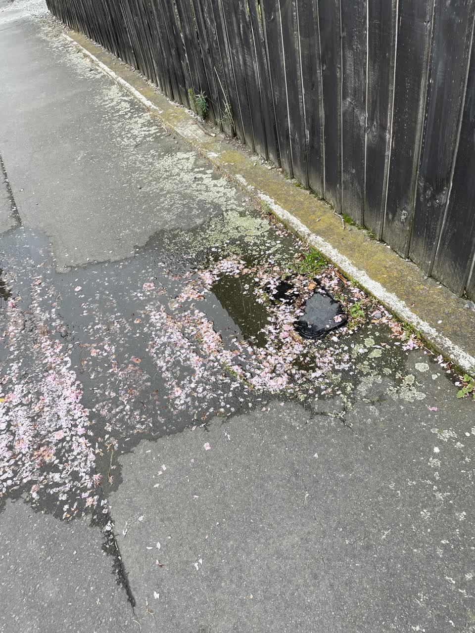 The photograph attached to this water leak report
