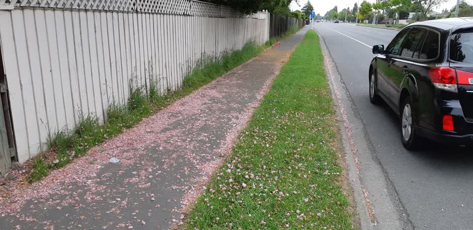 The photograph attached to this roading/streets report