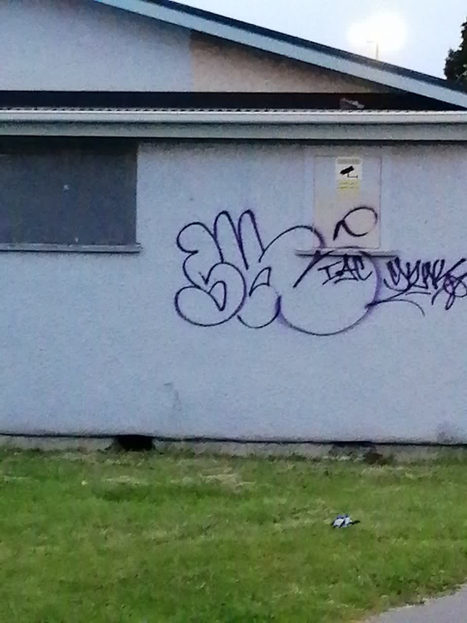 The photograph attached to this graffiti report