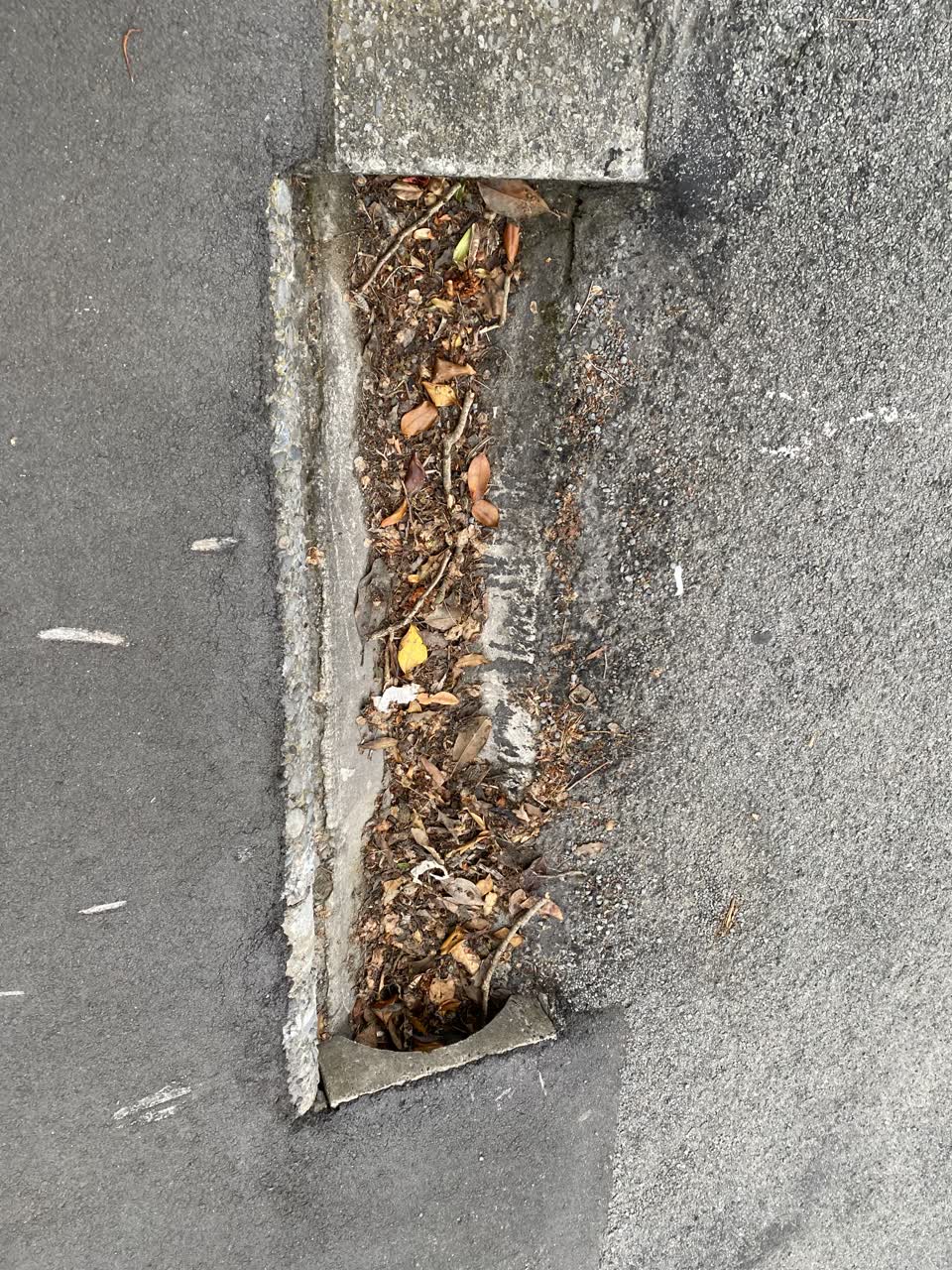 The photograph attached to this roading/streets report