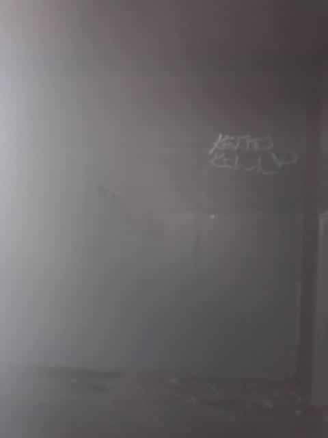 Graffiti — a report photo