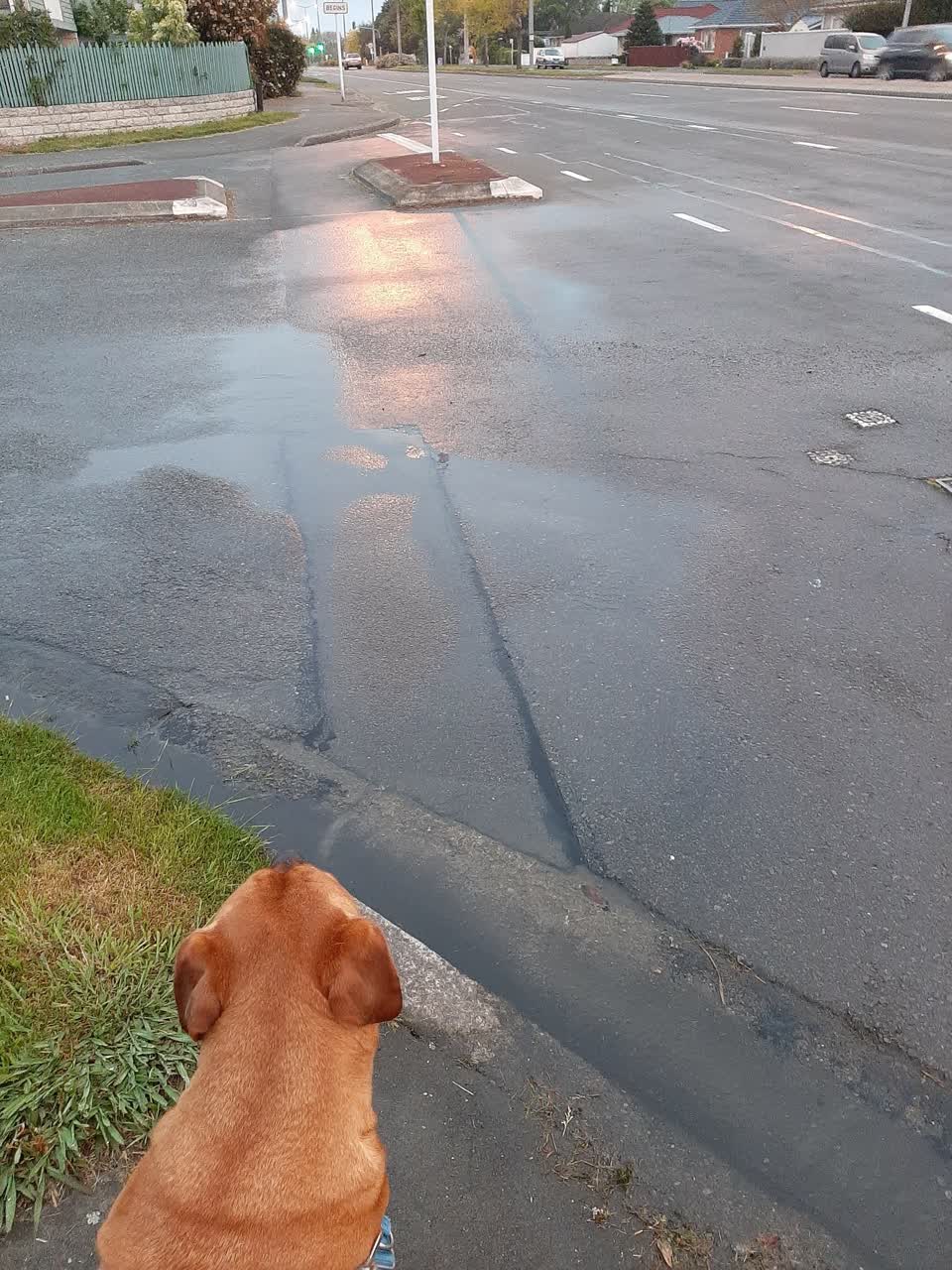 The photograph attached to this water leak report