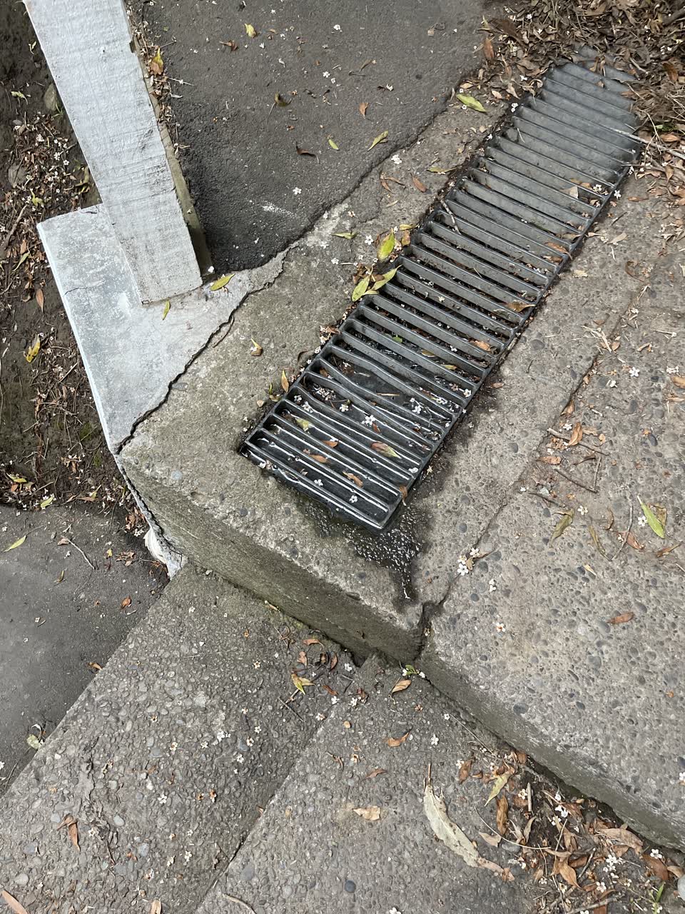 The photograph attached to this parks report