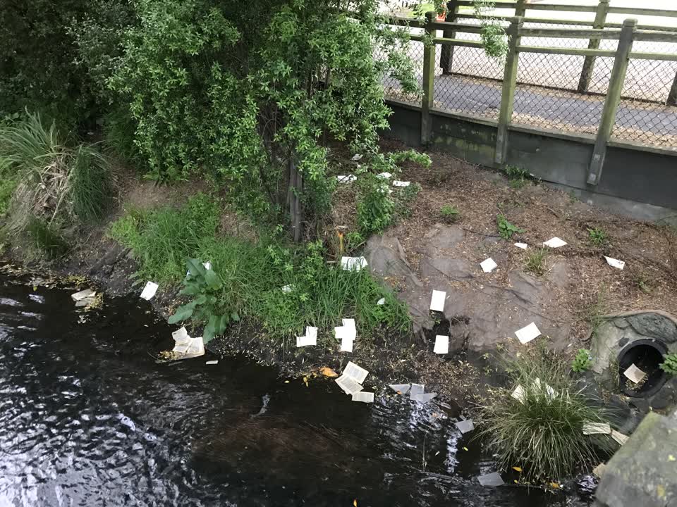 The photograph attached to this parks report