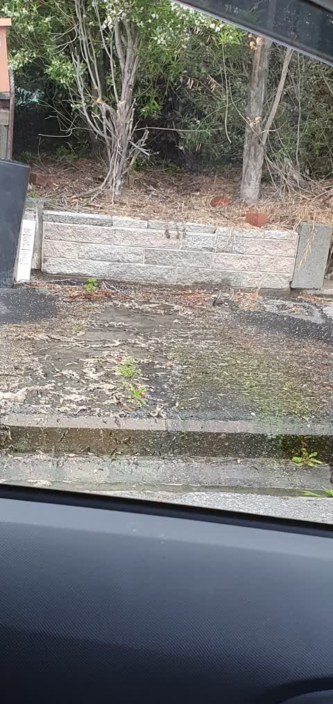 Water Leak, a report photo