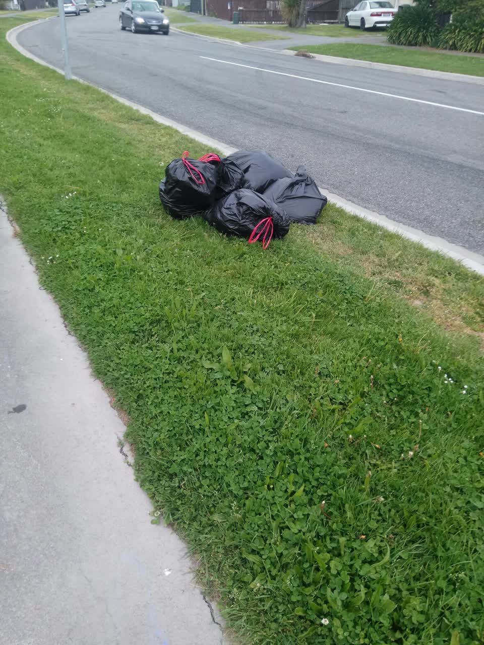 The photograph attached to this rubbish/recycling report
