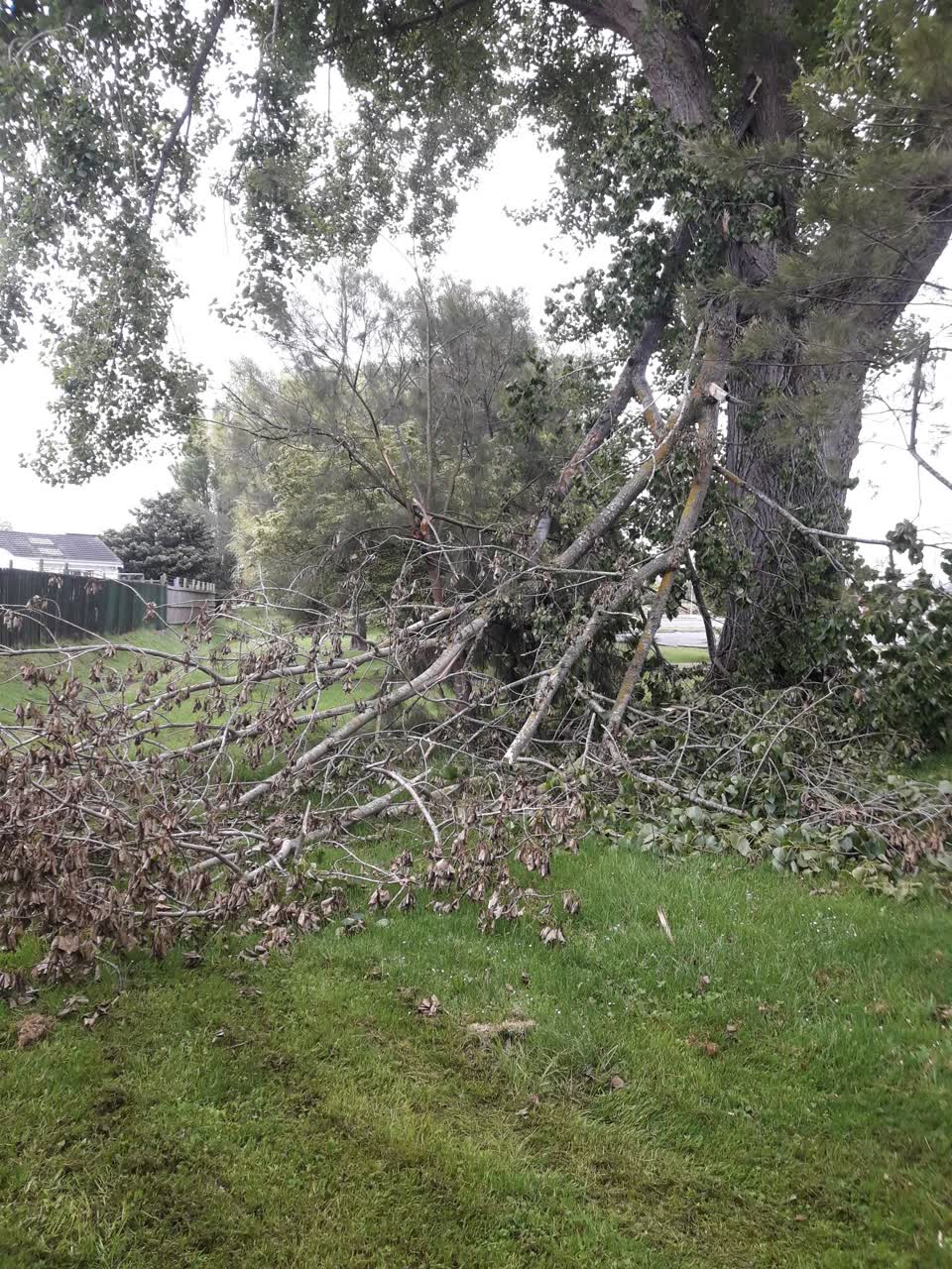 The photograph attached to this parks report