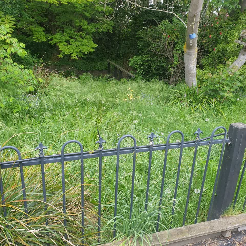 The photograph attached to this parks report