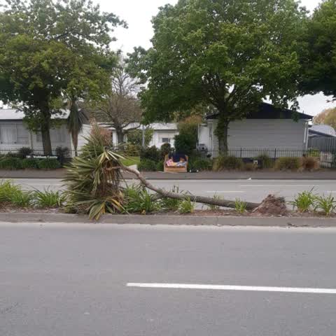 Roading/Streets, a report photo