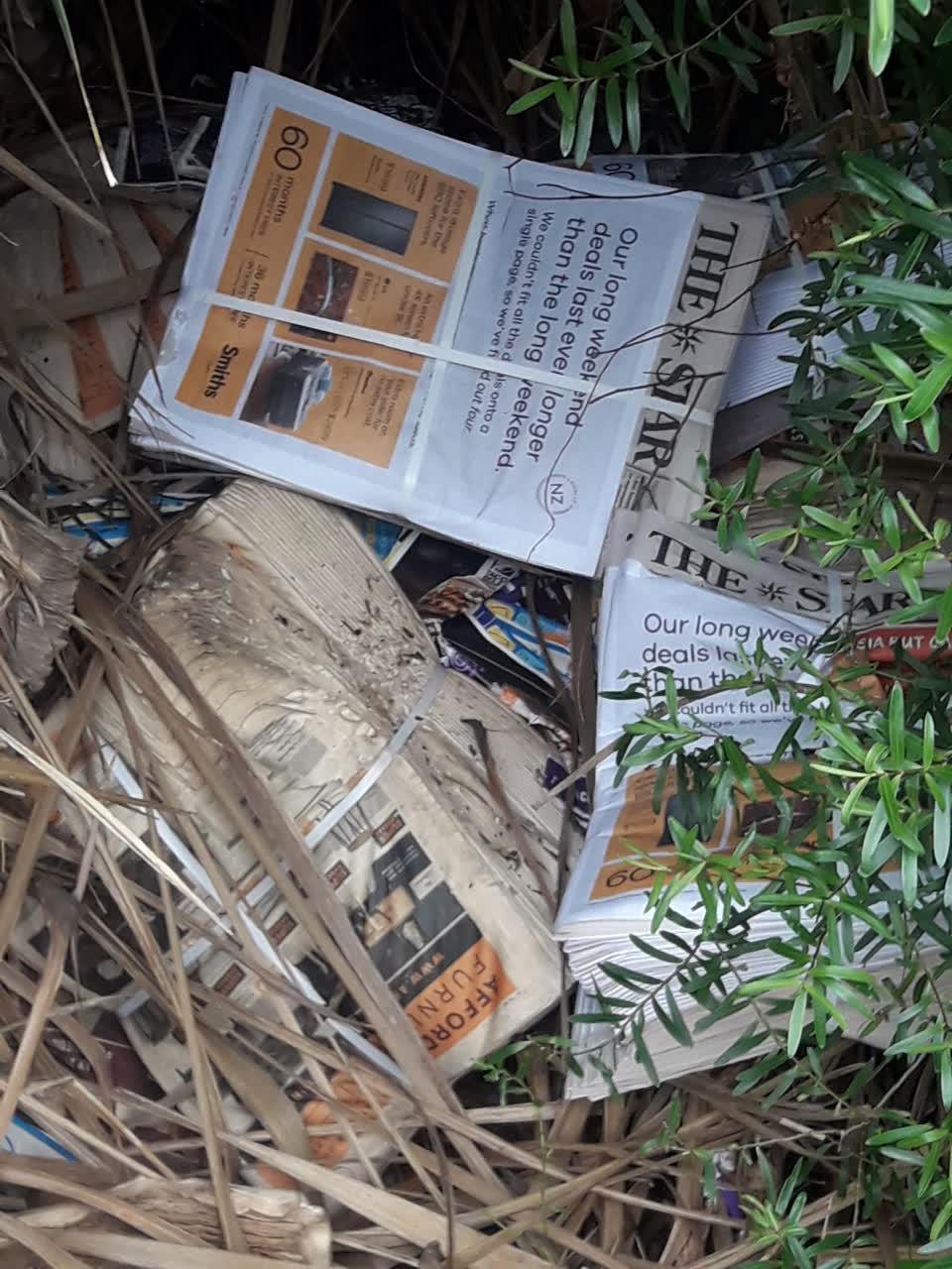 The photograph attached to this parks report