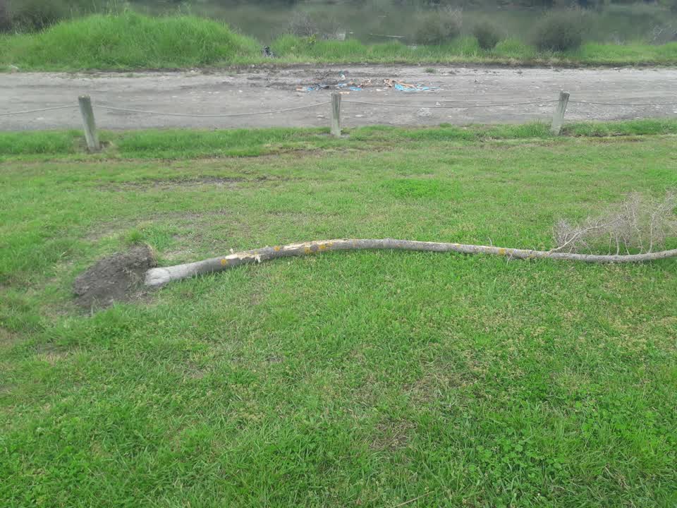 The photograph attached to this parks report