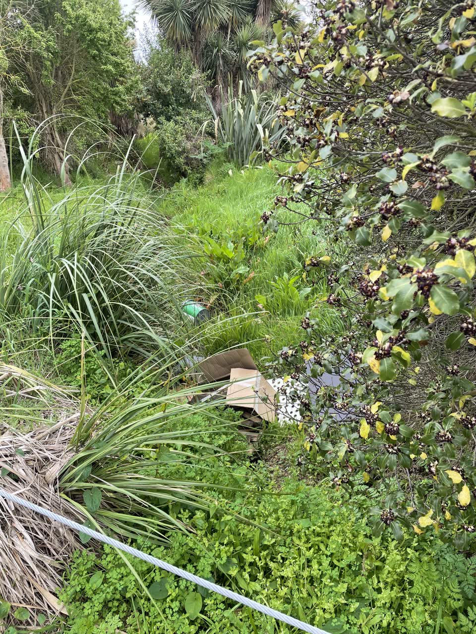 The photograph attached to this rubbish/recycling report