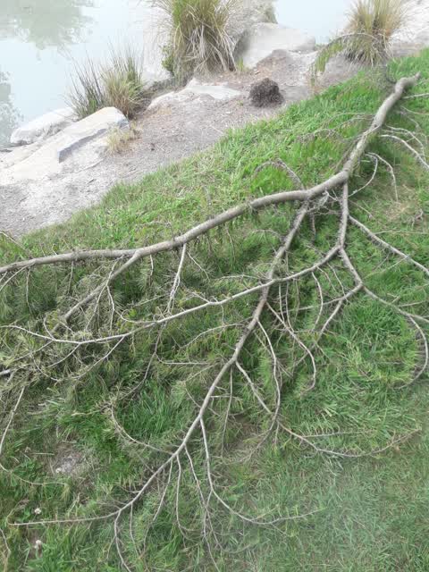 Parks, a report photo