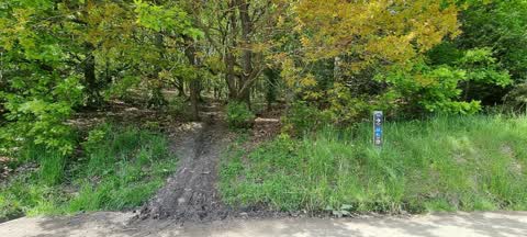 Parks, a report photo