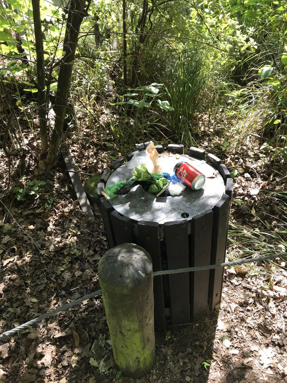 The photograph attached to this rubbish/recycling report