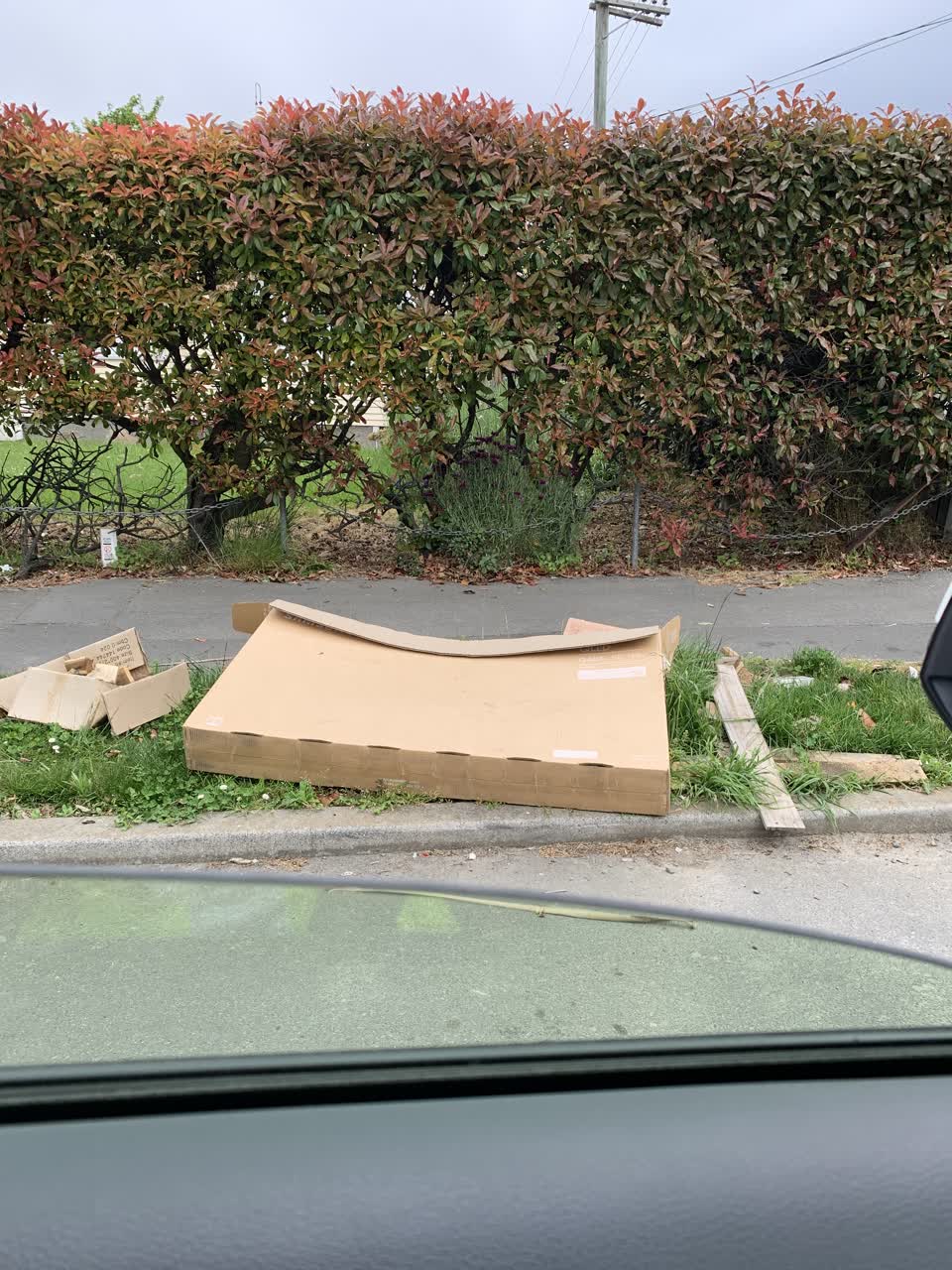 The photograph attached to this rubbish/recycling report