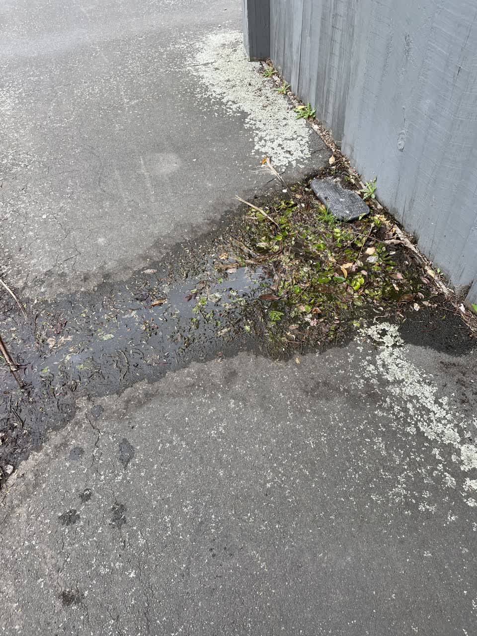 The photograph attached to this water leak report