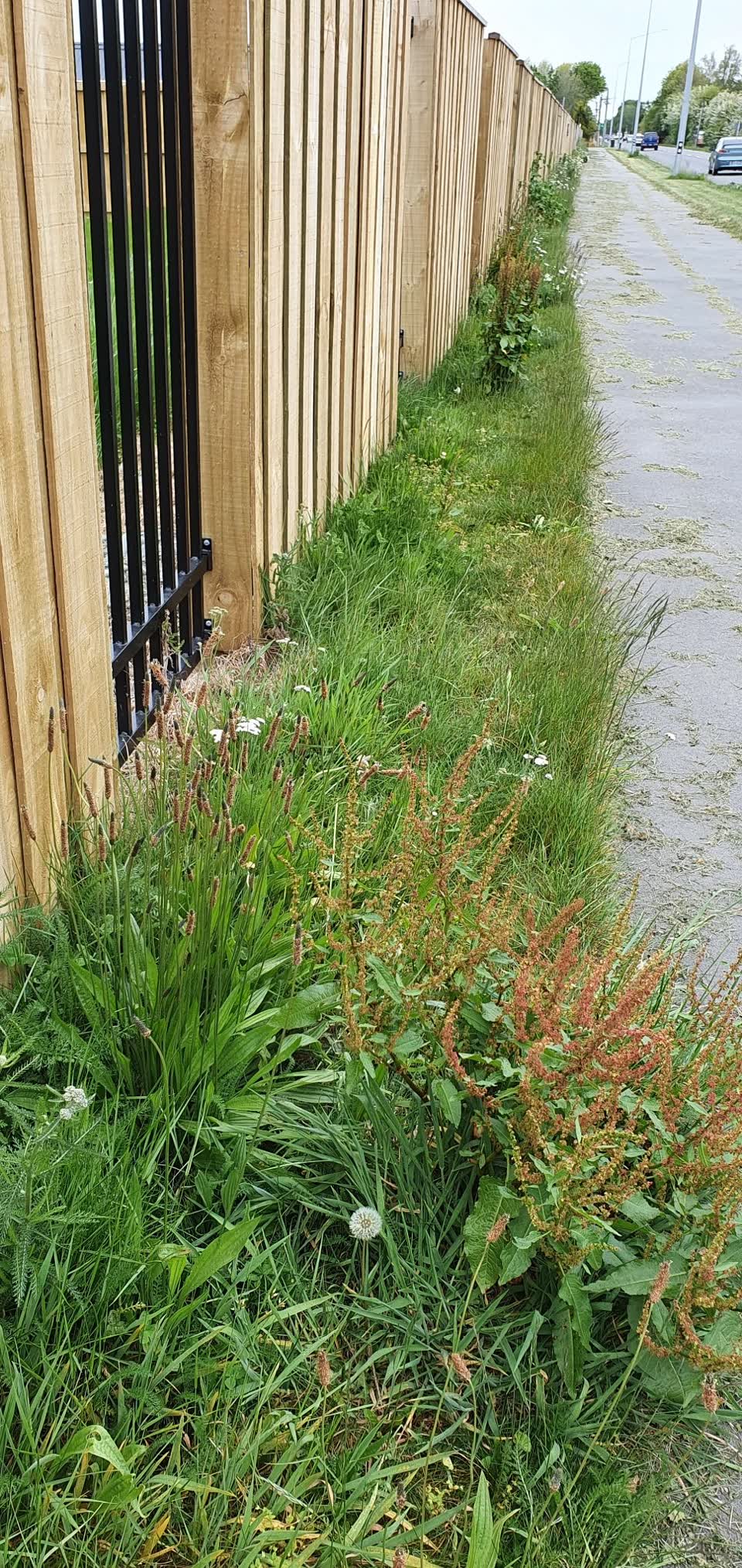 The photograph attached to this parks report