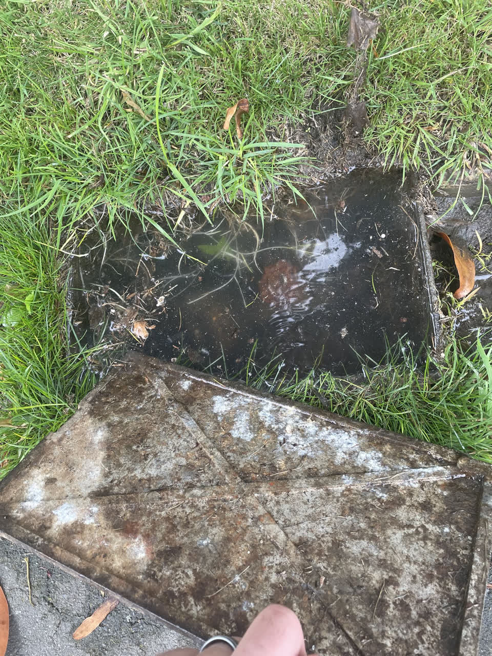 The photograph attached to this water leak report