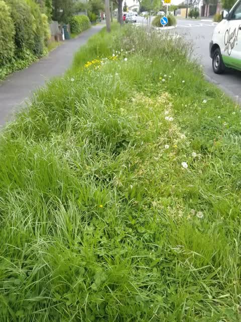 Roading/Streets, a report photo