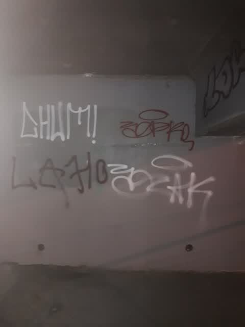 Graffiti, a report photo
