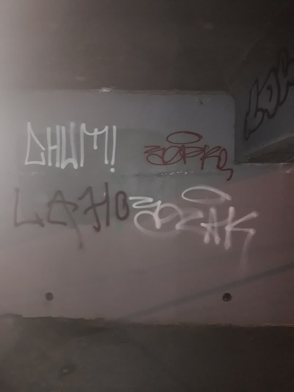 The photograph attached to this graffiti report