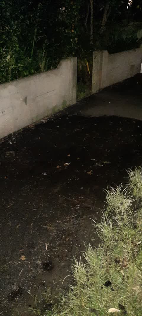Water Leak, a report photo