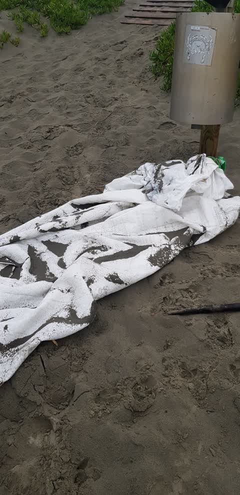 Rubbish/Recycling, a report photo